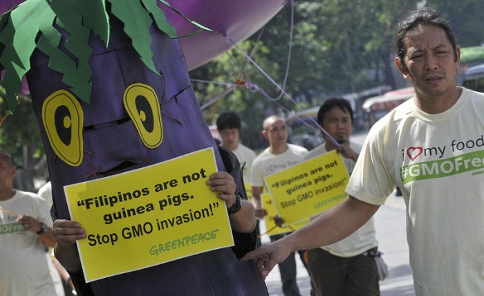 Asia watches as GMO legal challenge threatens Philippines food supply